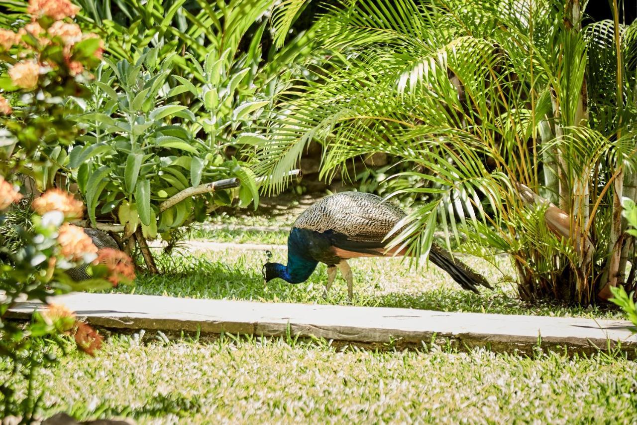 Villa Lu Amazon Ecolodge Tarapoto Buitenkant foto