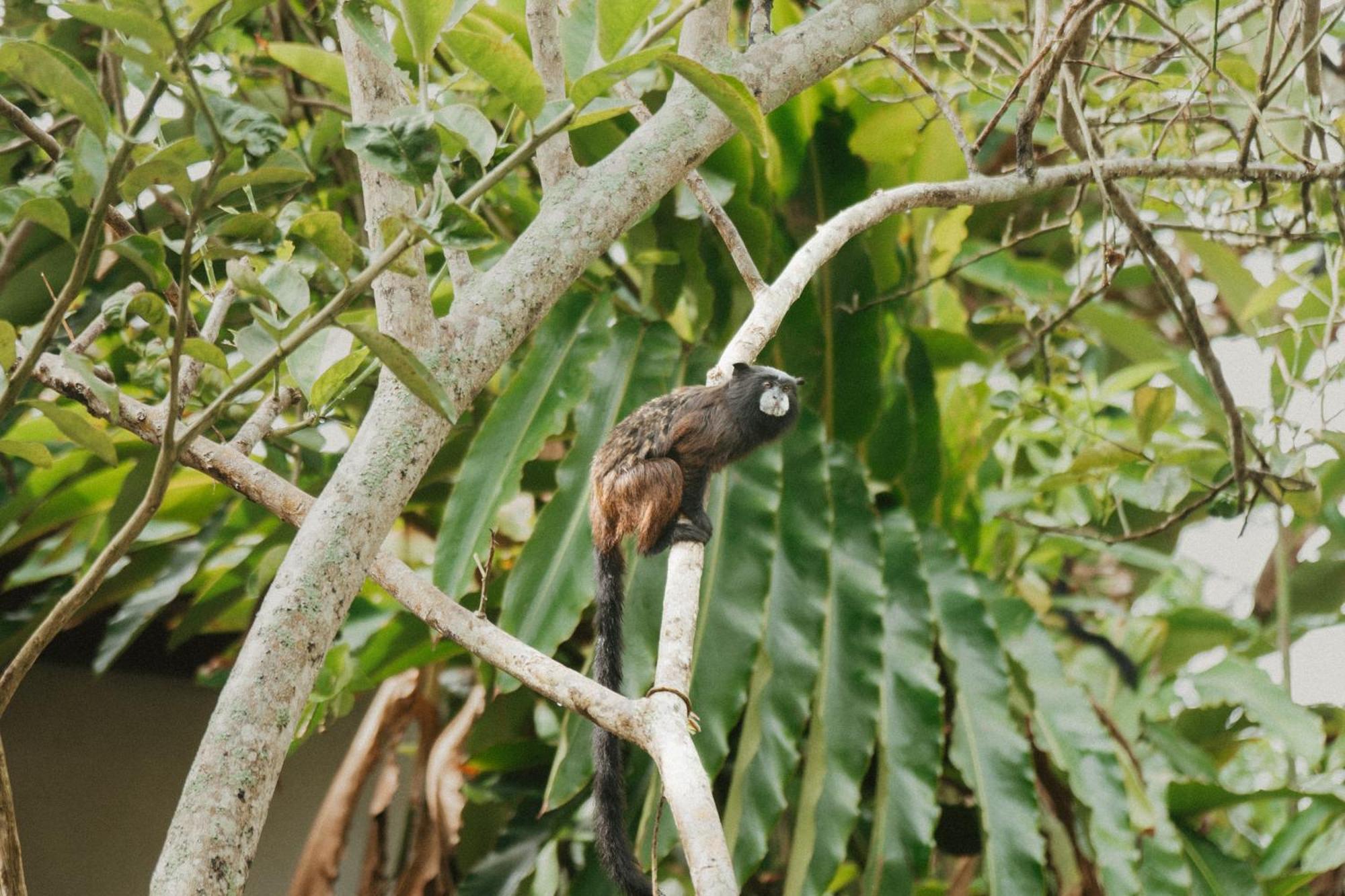 Villa Lu Amazon Ecolodge Tarapoto Buitenkant foto