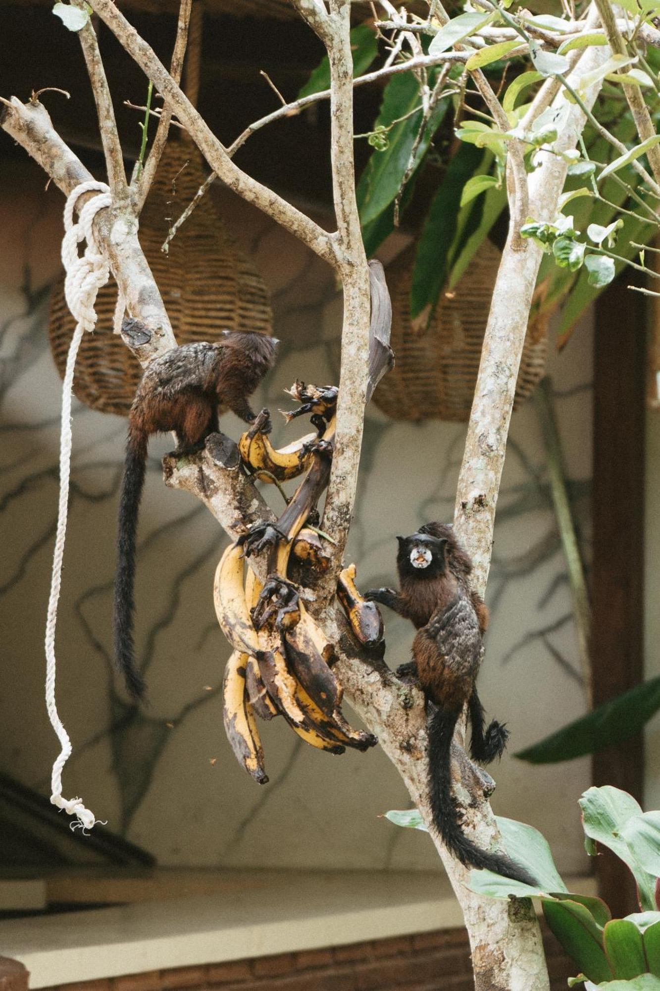 Villa Lu Amazon Ecolodge Tarapoto Buitenkant foto