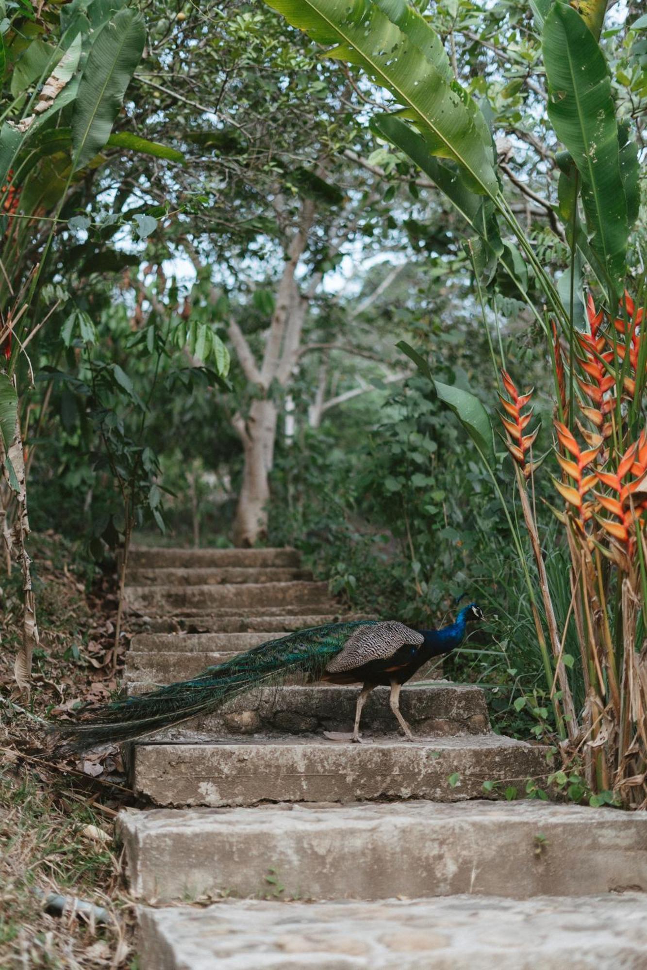 Villa Lu Amazon Ecolodge Tarapoto Buitenkant foto